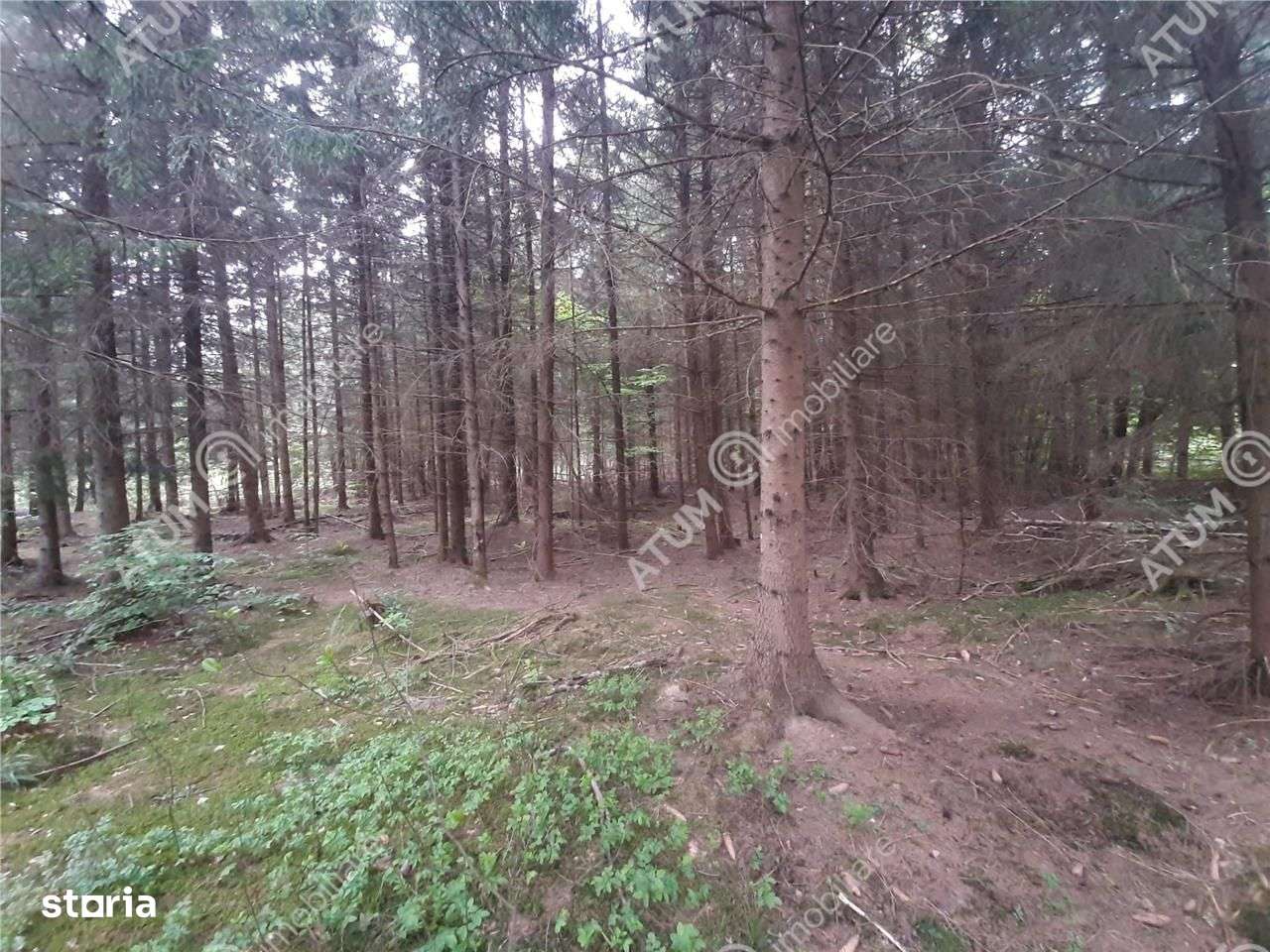 Teren intravilan  Avrig pe Valea Avrigului in zona Mlaci - Imagine principală: 1/5