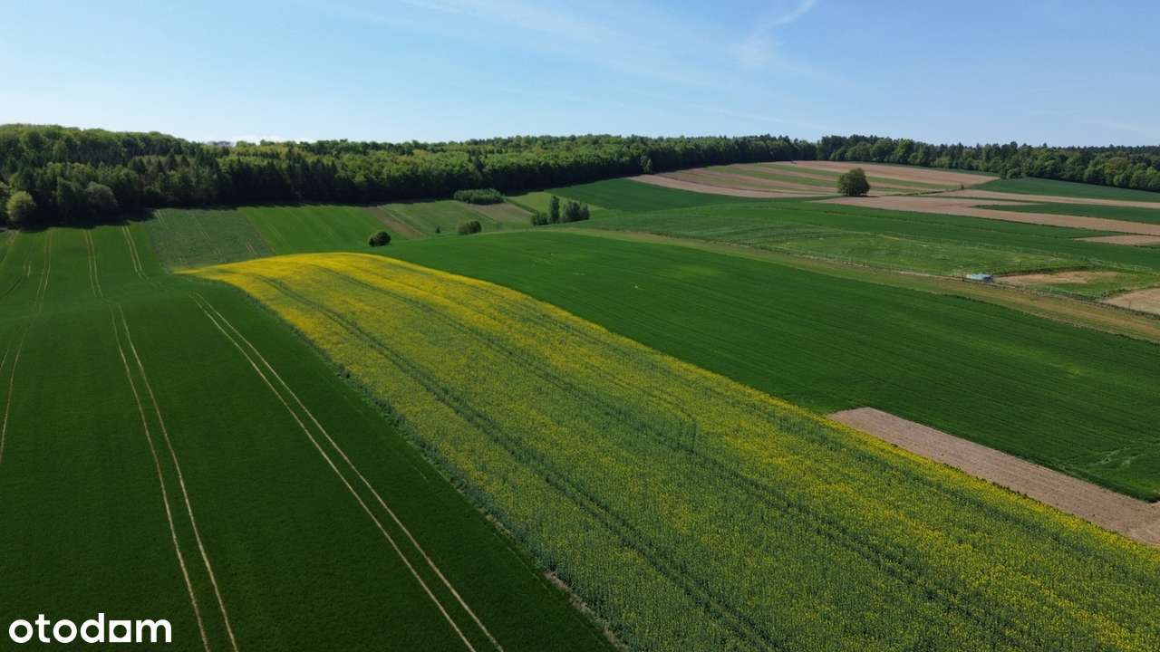 Działki Budowlane 20 km od Krakowa  Prąd Woda Gaz Zapraszam-17