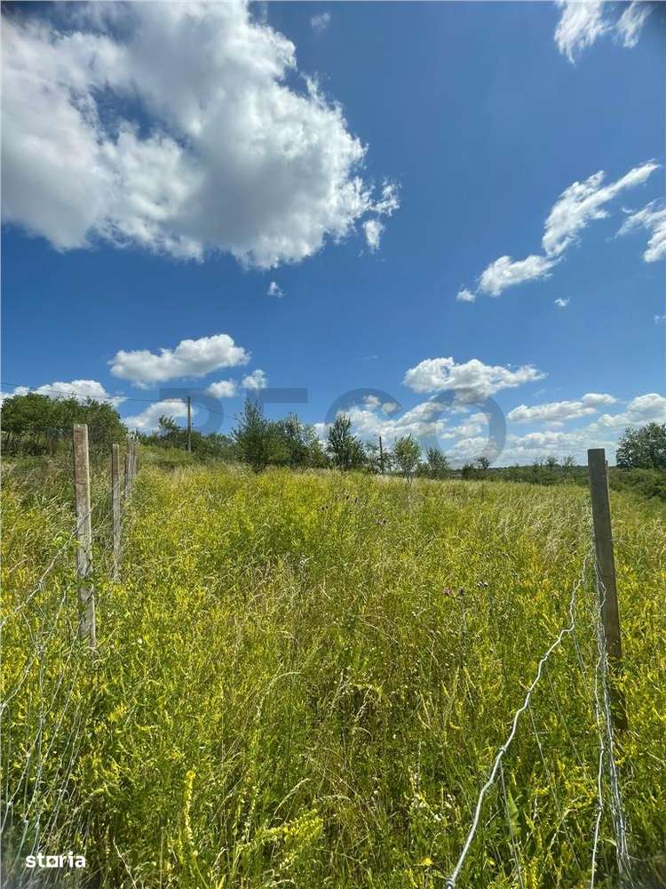 RECO Teren Extravilan Podgoria Oradea - Imagine principală: 3/10