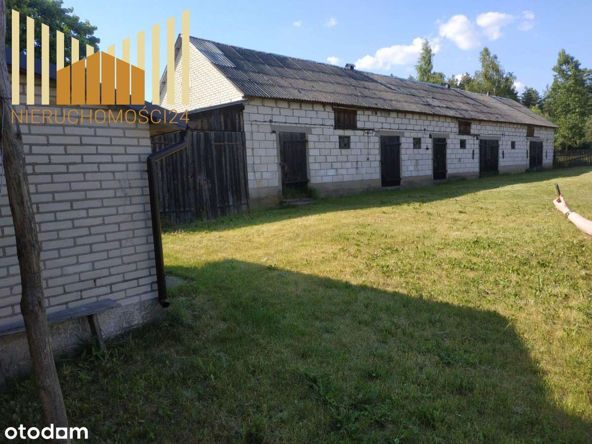 Możliwość Płacenia Krus - Pełny obrazek: 4/10