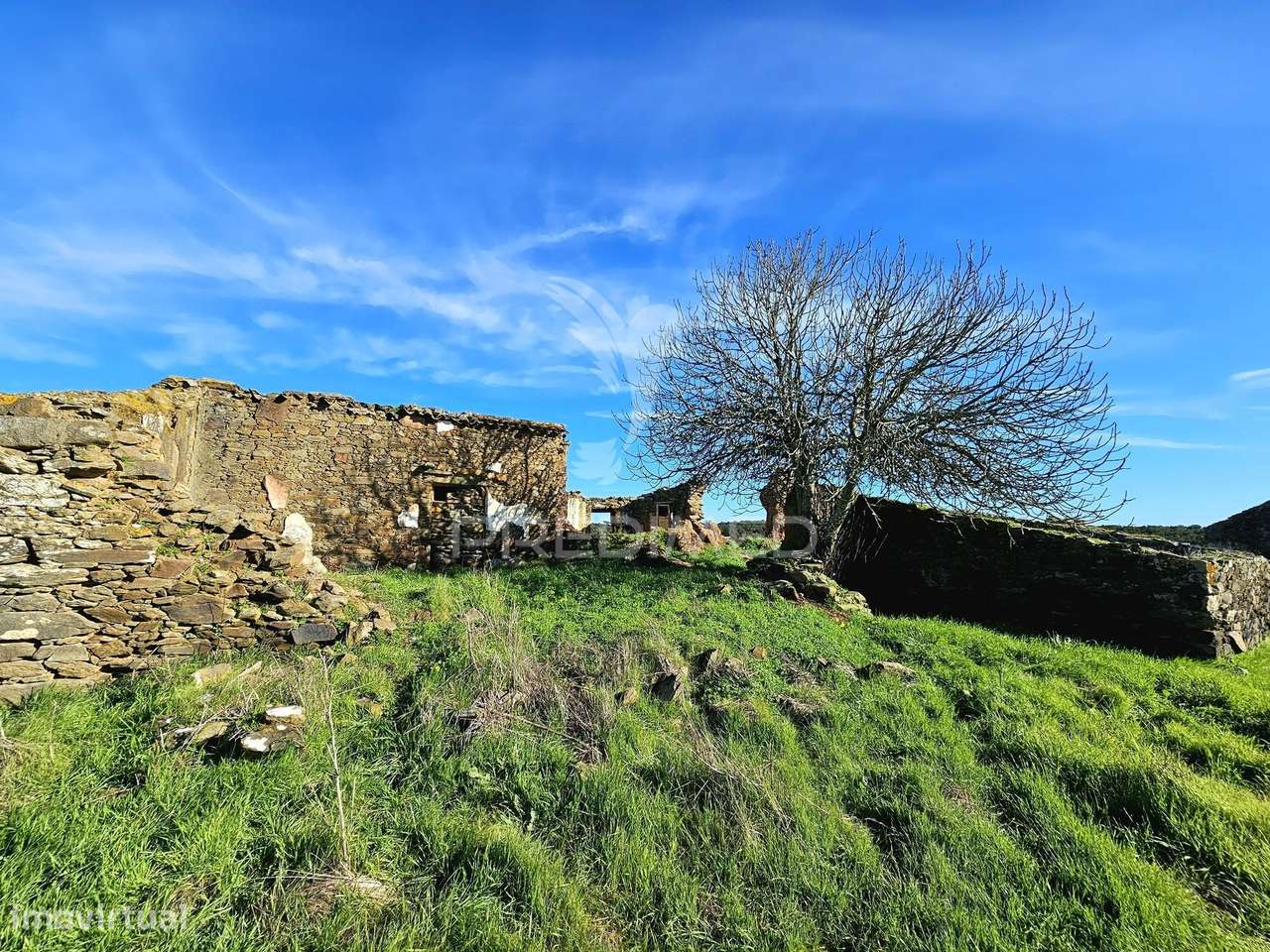 Terreno com 4,3 ha e Ruínas no concelho de Ourique - Grande imagem: 4/17