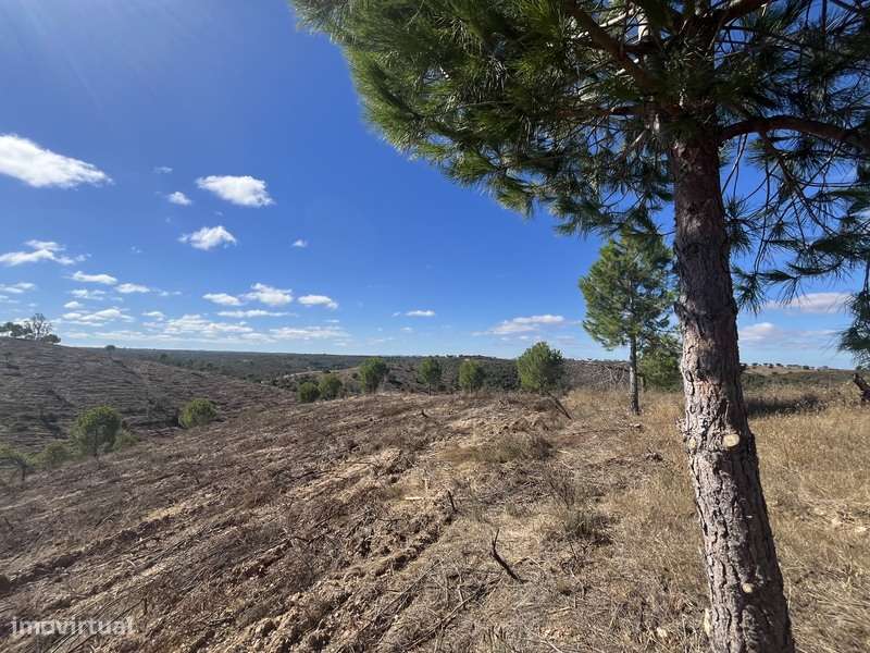 Terreno com 48ha de Natureza com Ruína de 53 m² – Ideal Projeto Rural-10