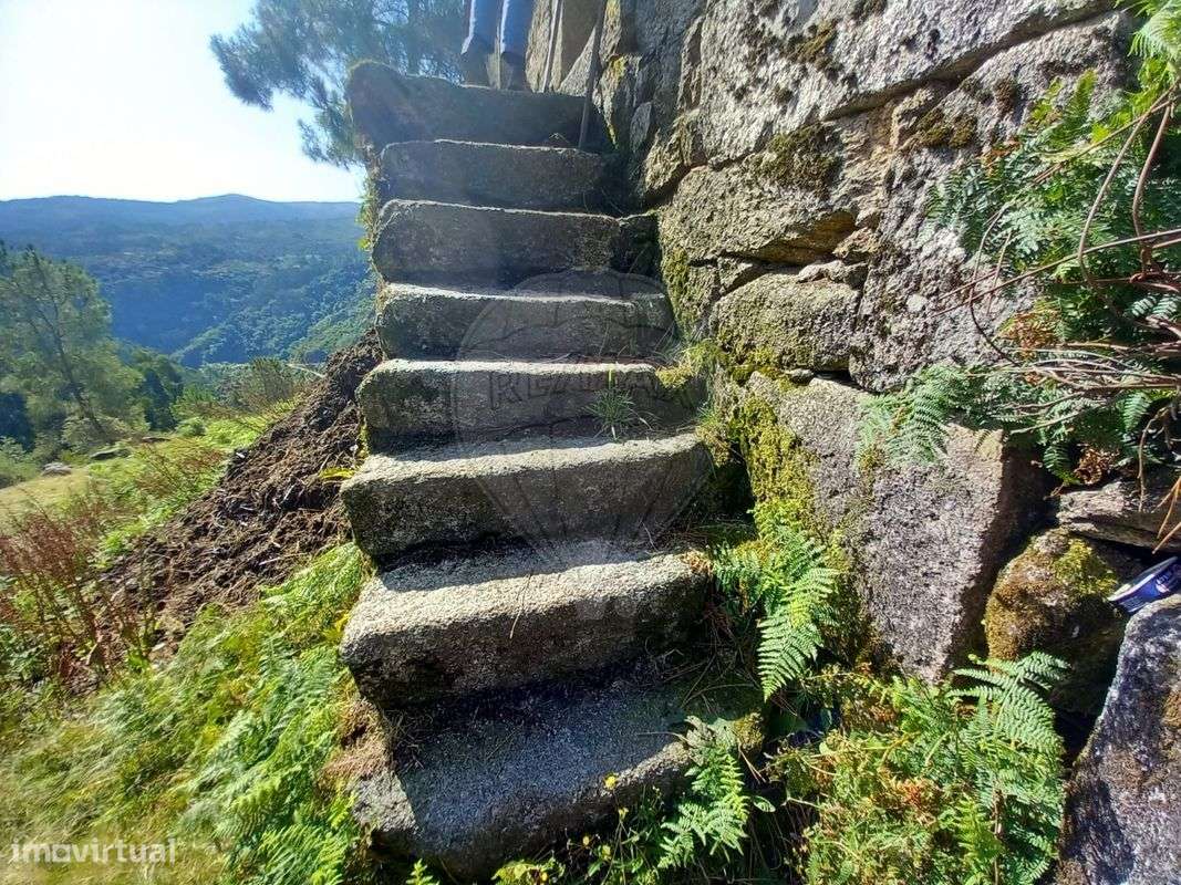 Quinta  para venda - Grande imagem: 4/39