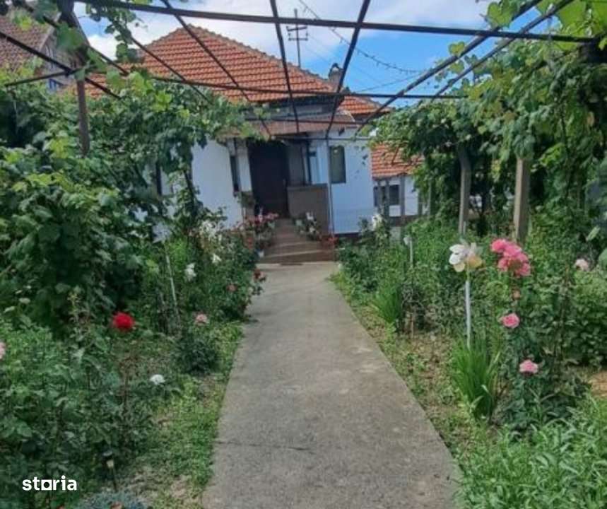 Casa traditionala cu teren generos la tara – Gorj, Șomanesti-16