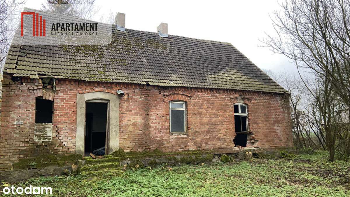 Duża działka z domem do odbudowy bądź rozbiórki - Pełny obrazek: 4/8