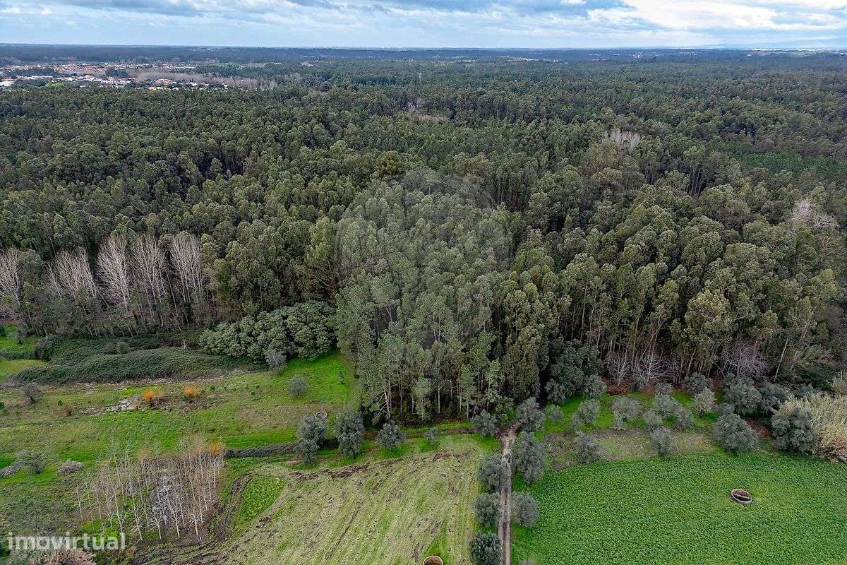 Terreno  para venda - Grande imagem: 3/14