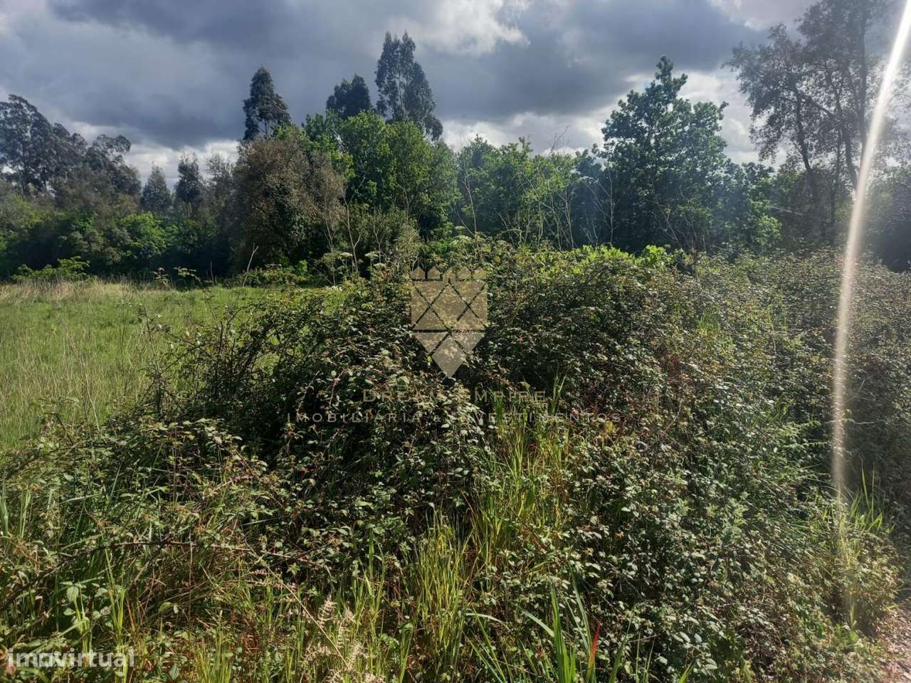 Terreno com 3.600 m² – Próximo ao Centro de Recarei - Grande imagem: 4/14