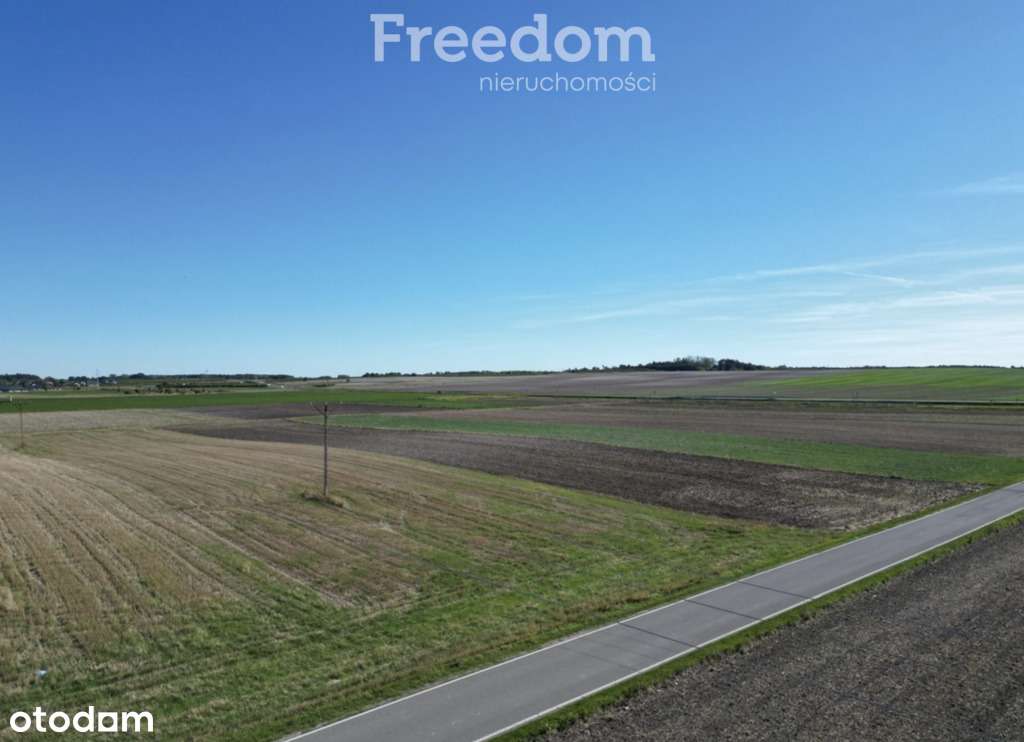 Sprzedam pole orne - Pełny obrazek: 4/5