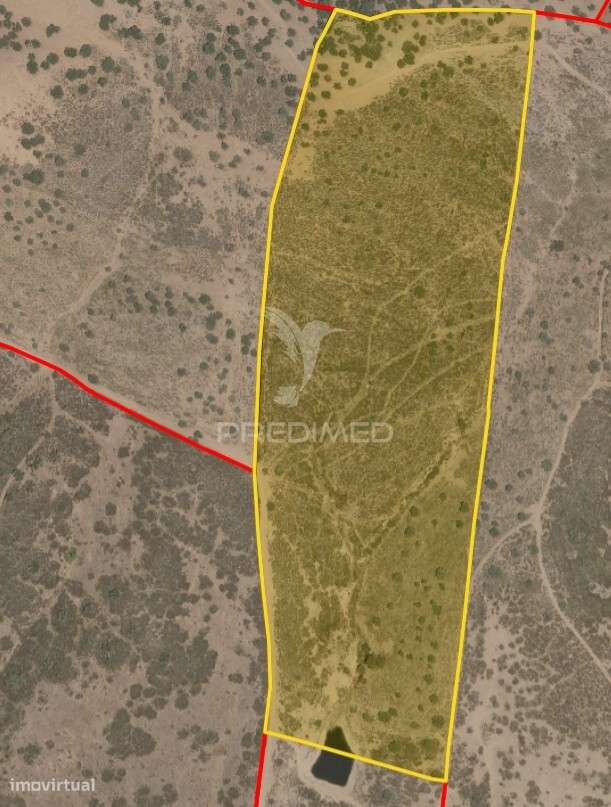 Vende-se Herdade – 34 Hectares - Grande imagem: 4/5