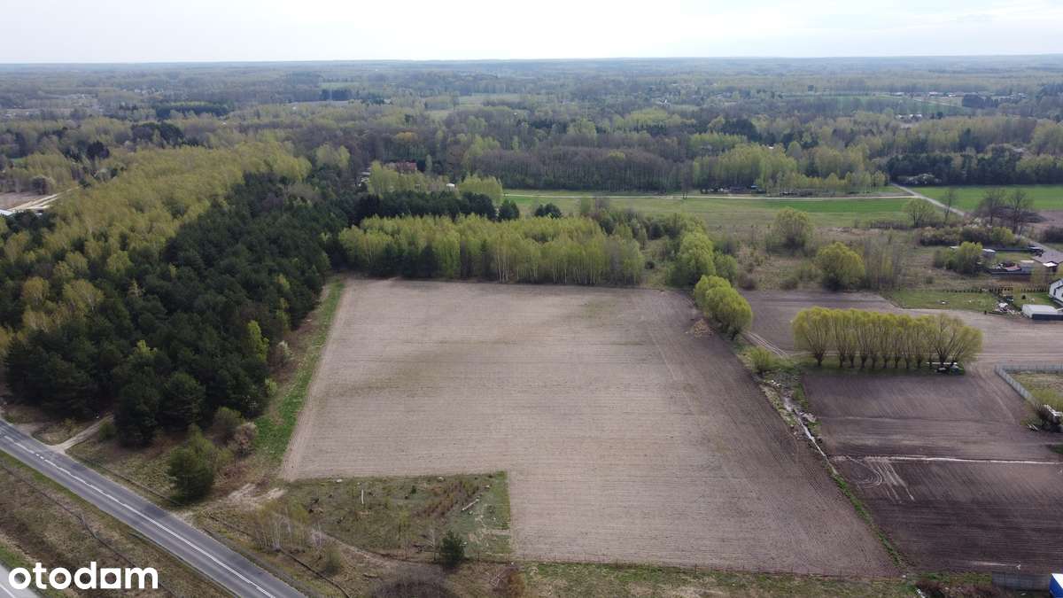 Działka inwestycyjna Trasa S8 – gm. Żabia Wola (cena BRUTTO) - Pełny obrazek: 5/15