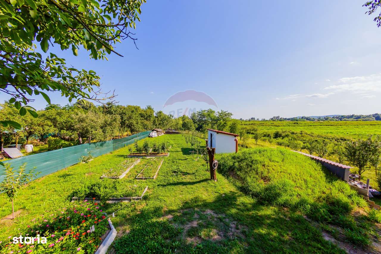 MERISOR - proprietate de vanzare - Imagine principală: 4/12