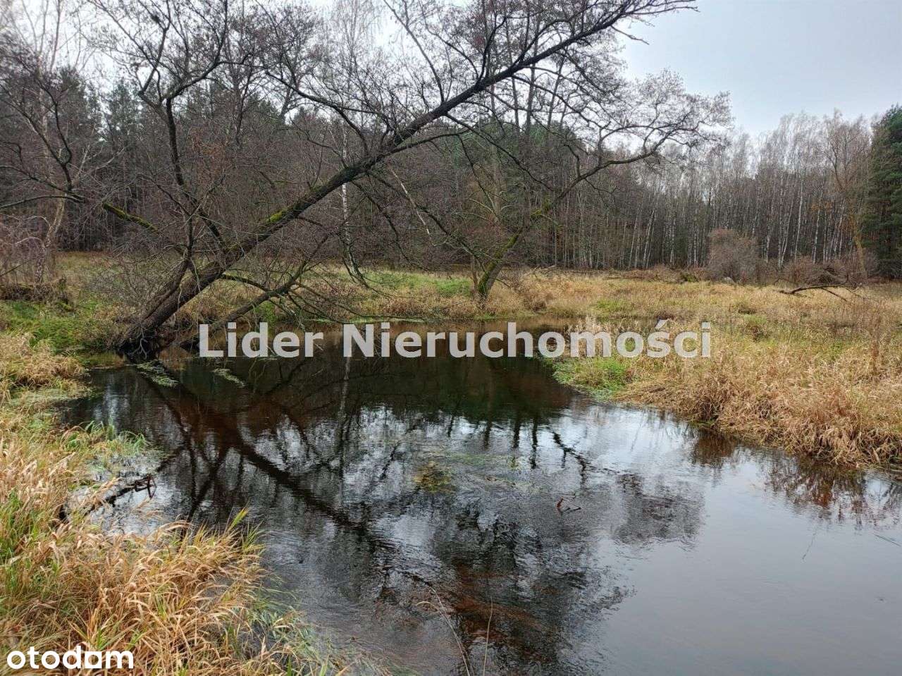 Sielska działka budowlana w Ldzaniu ! Widok na las i rzekę.-3