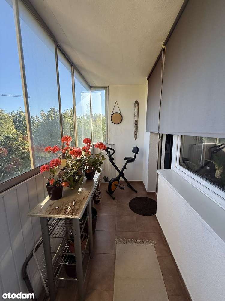 Mieszkanie INWESTYCYJNE, widok na ZIELEŃ - Pełny obrazek: 3/9