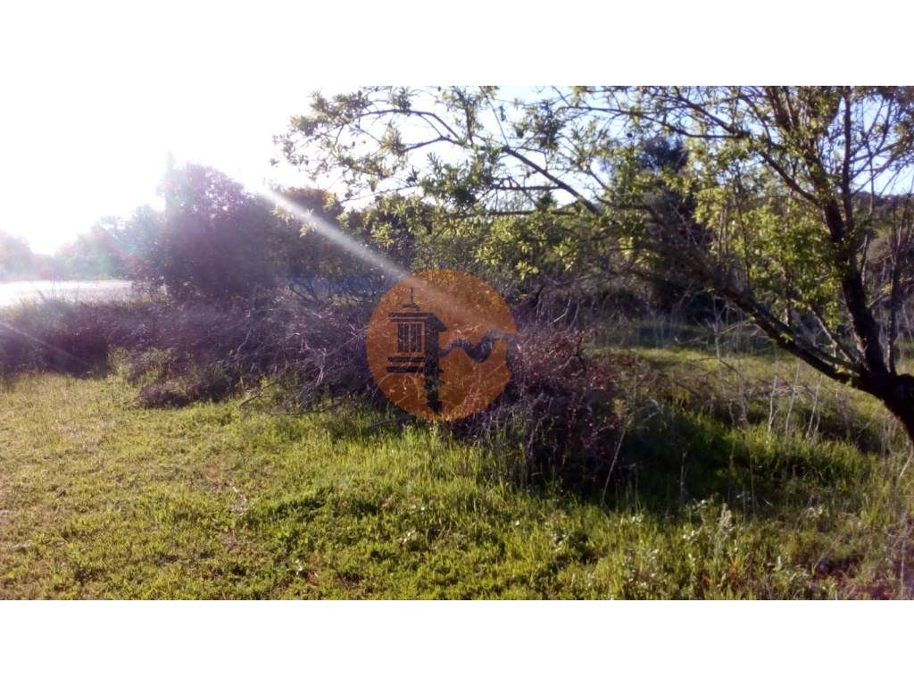 TERRENO RÚSTICO COM 11.200 M2 - PADERNE - ALBUFEIRA - ALGARVE-7