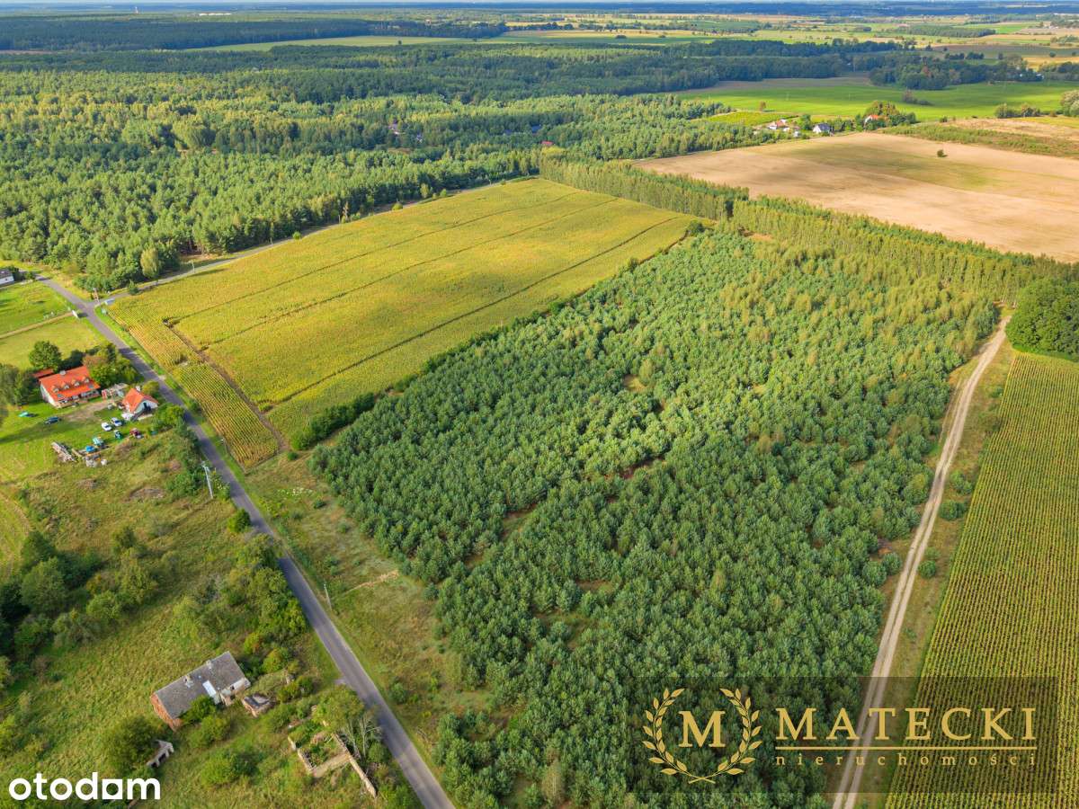 Wyjątkowa, duża działka z drzewami-6