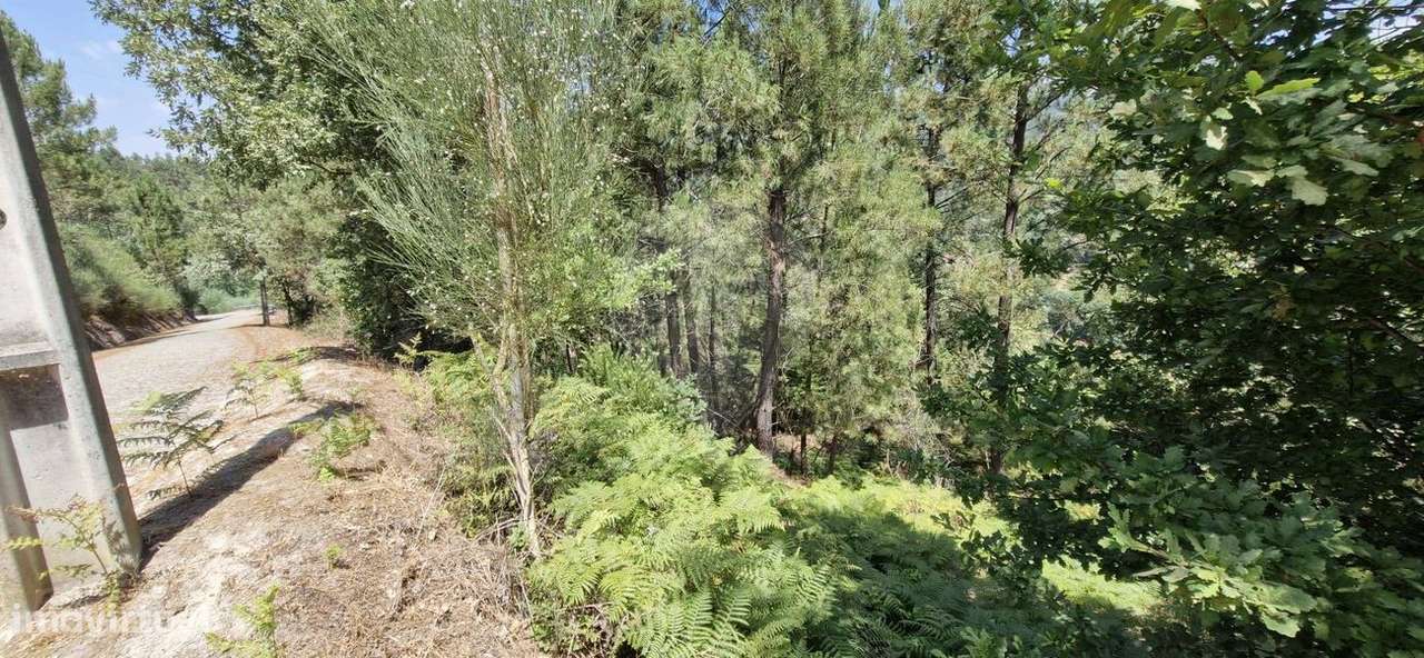 Terreno  para venda - Grande imagem: 5/26