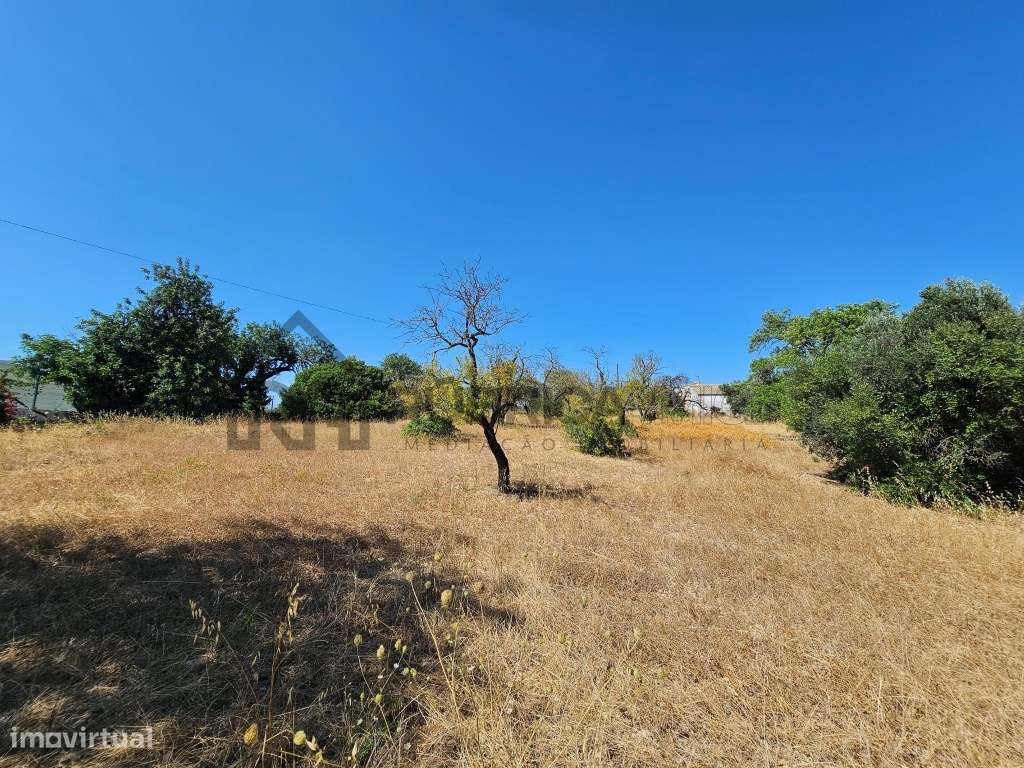 Casa com herdade de 30 mil m2 a sul de Loulé com enorme potencial-9