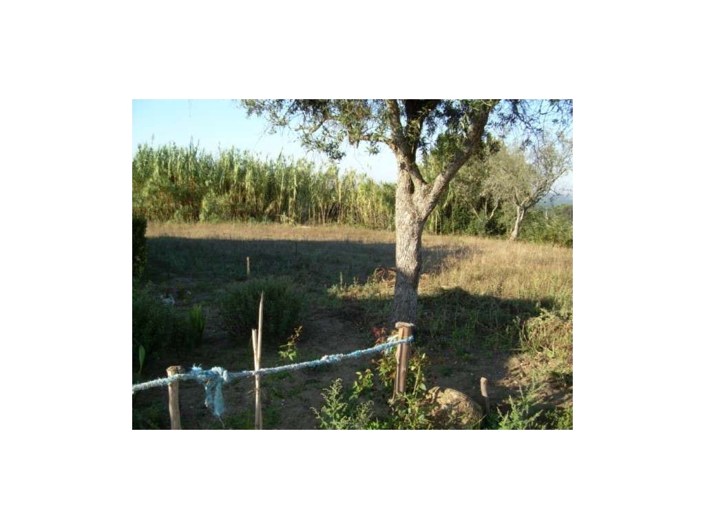 Terreno Venda Leiria - Grande imagem: 2/2