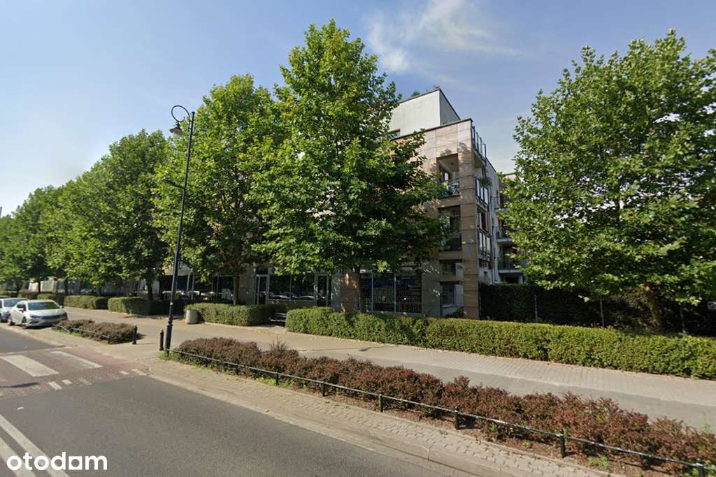 Lokal usługowy z witryną | prestiżowa okolica-7