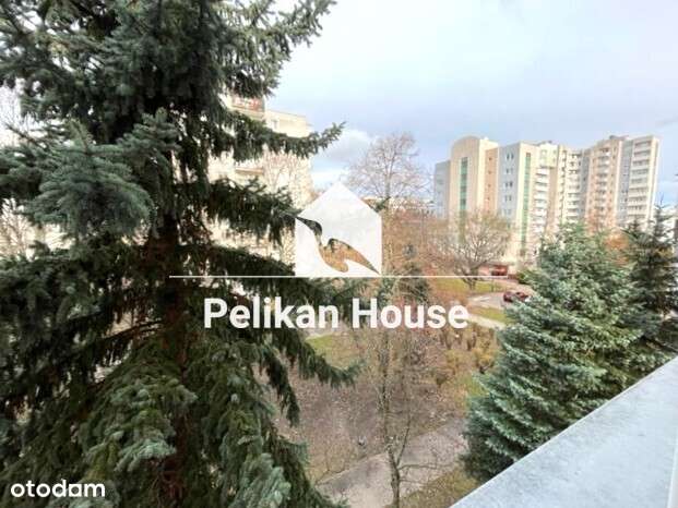 Dwa pokoje z oddzielna kuchnia metro Natolin-1