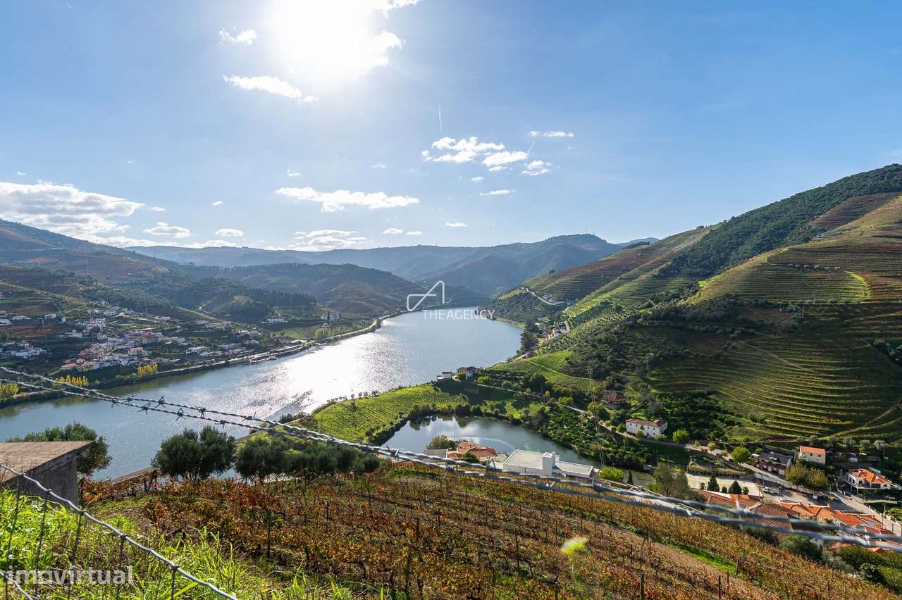 Quinta da Capela, uma propriedade produtora de vinho de 16 hectares j - Grande imagem: 3/28