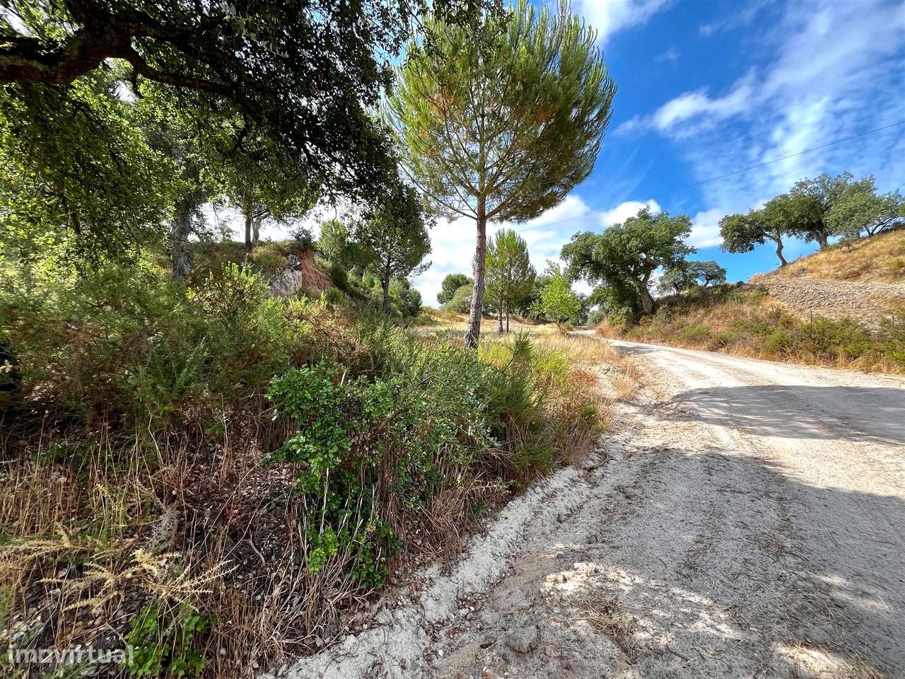 Quinta >=T10 Venda em Cortiçadas de Lavre e Lavre,Montemor-o-Novo-53