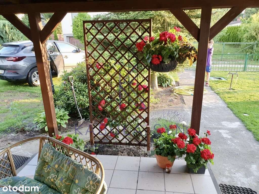 Piękna działka ROD _ Nekla _ Borówno - Pełny obrazek: 4/18