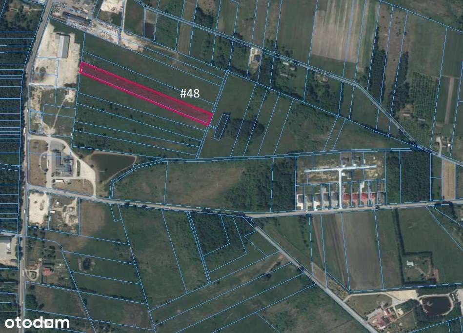 Sprzedam działki 17.18 ha, Elżbiecin, blisko drogi Busko-Kielce 73 - Pełny obrazek: 2/6