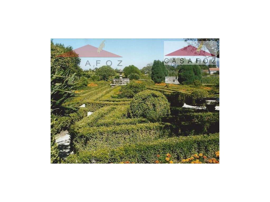 Viana do Castelo - Venda Quinta-13