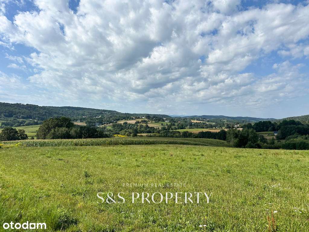 0,77 HA |  Działki z PNB | NIEPRZEŚNIA-3