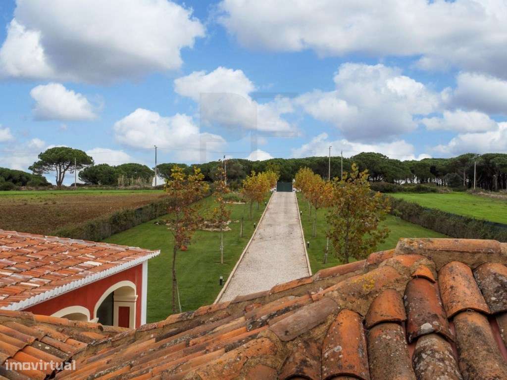 Moradia / Sintra - São João das Lampas-19