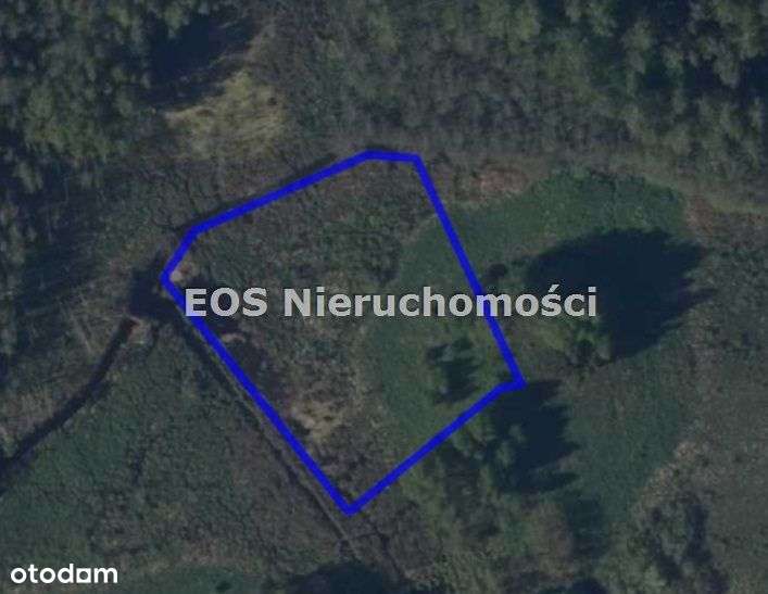 Rola 11,25 ha * Talki pow. Giżycki - Rezerwacja - Pełny obrazek: 5/8