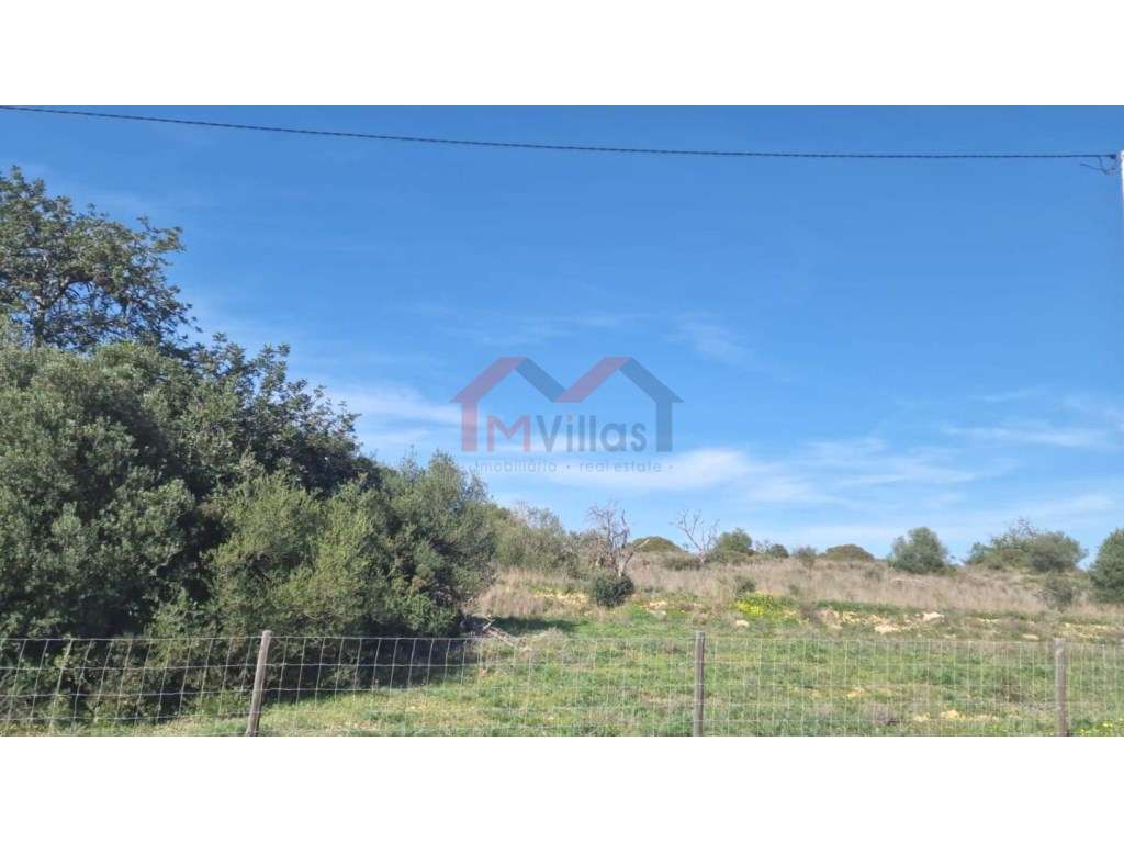 Terreno com projecto em curso para construção de um edifício comerc... - Grande imagem: 5/18