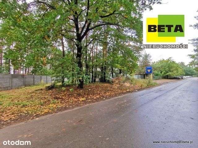 Na sprzedaż obiekt przemysłowo magazynowy-6