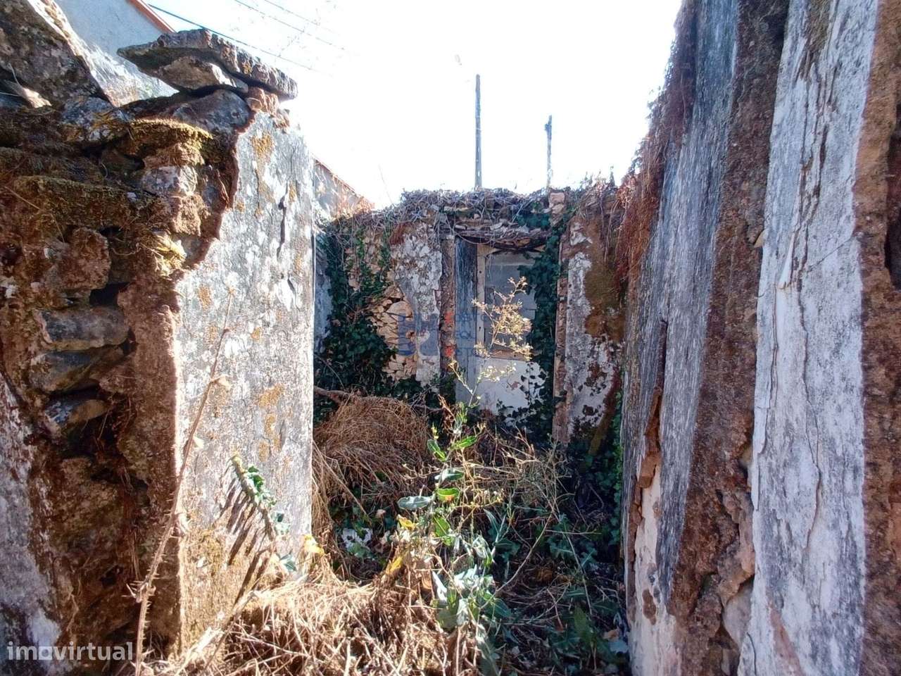 Moradia em ruina com terreno em Maxieira-12