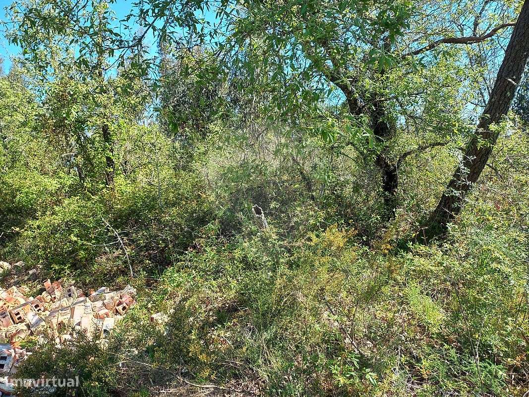 Moradia T3 para venda - Grande imagem: 4/11