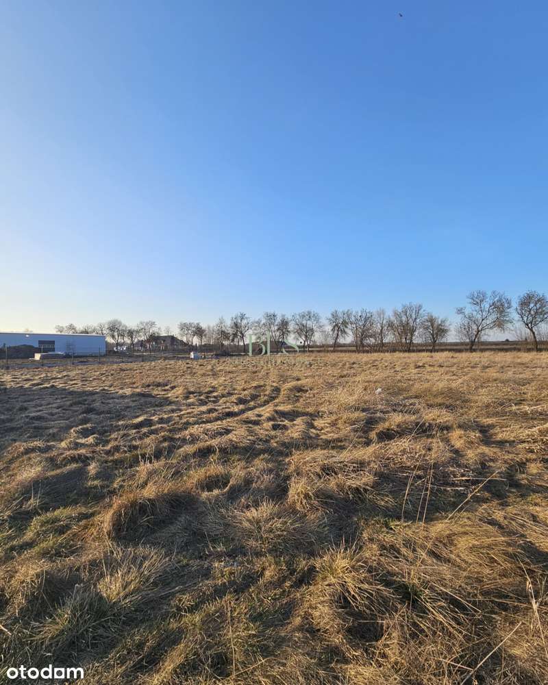 Zabudowa uslugowa, magazynowa-3