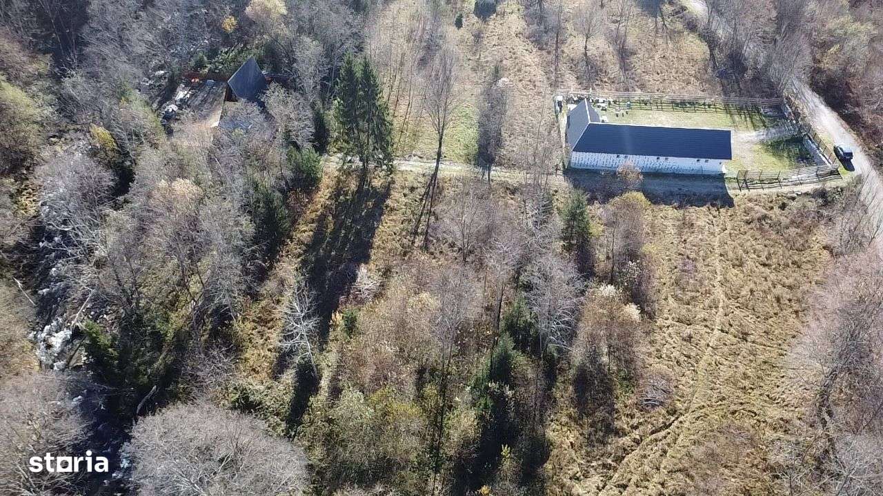 Teren de vânzare 3600 mp Poiana Mărului Caraș-Severin ( cu potențial ) - Imagine principală: 2/5