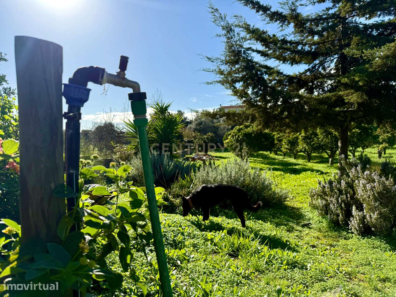 O seu refúgio de sonho no coração do Algarve, a poucos minutos da Prai-43