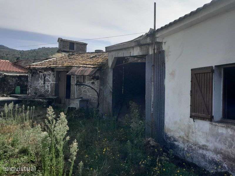 Moradia rustica com anexos e quintal - Grande imagem: 4/12