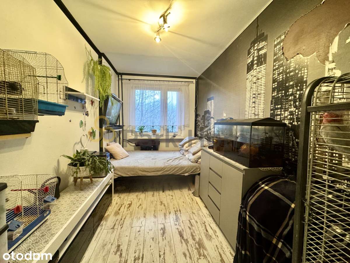 Mieszkanie 3 pokojowe, 2 piętro na Koperniku - Pełny obrazek: 4/10