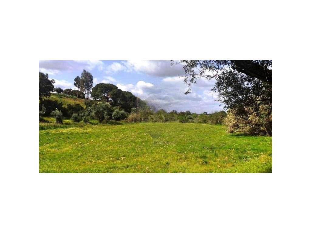 Terreno para Venda em Montargil - Grande imagem: 4/11