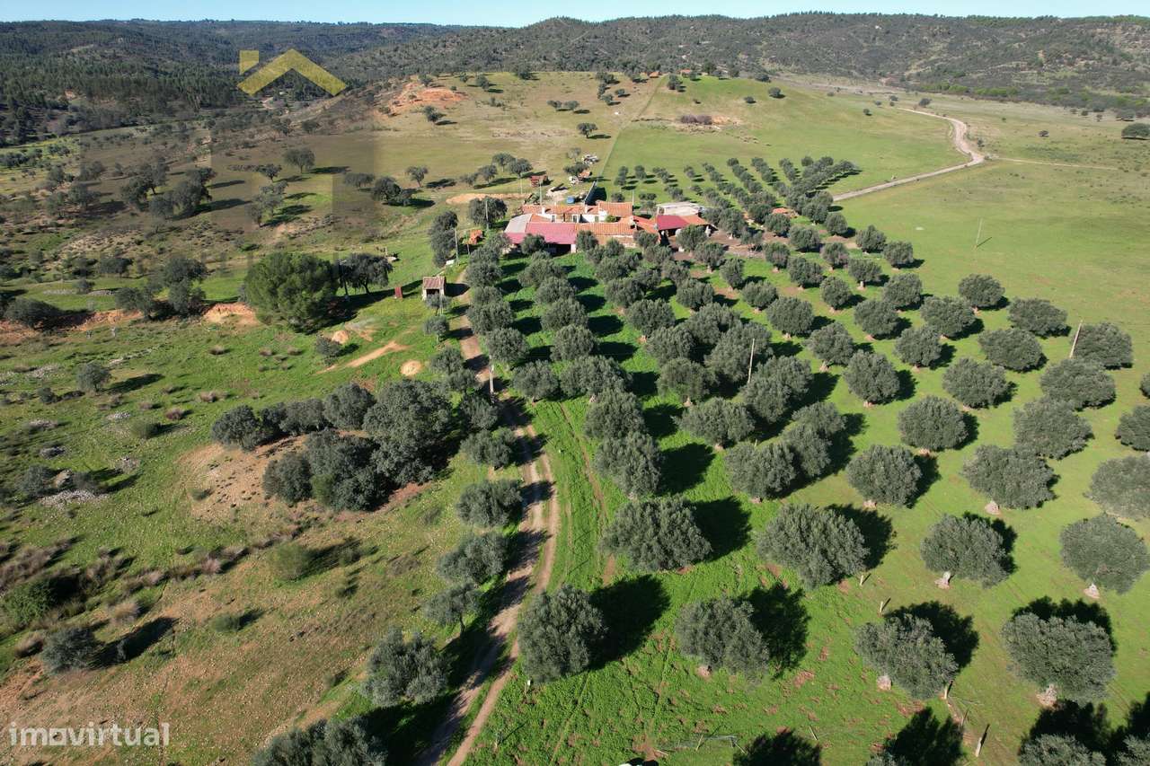 Terreno Rústico  Venda em Escalos de Baixo e Mata,Castelo Branco - Grande imagem: 3/52