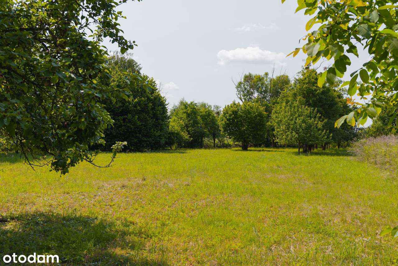 Dom z potencjałem-2