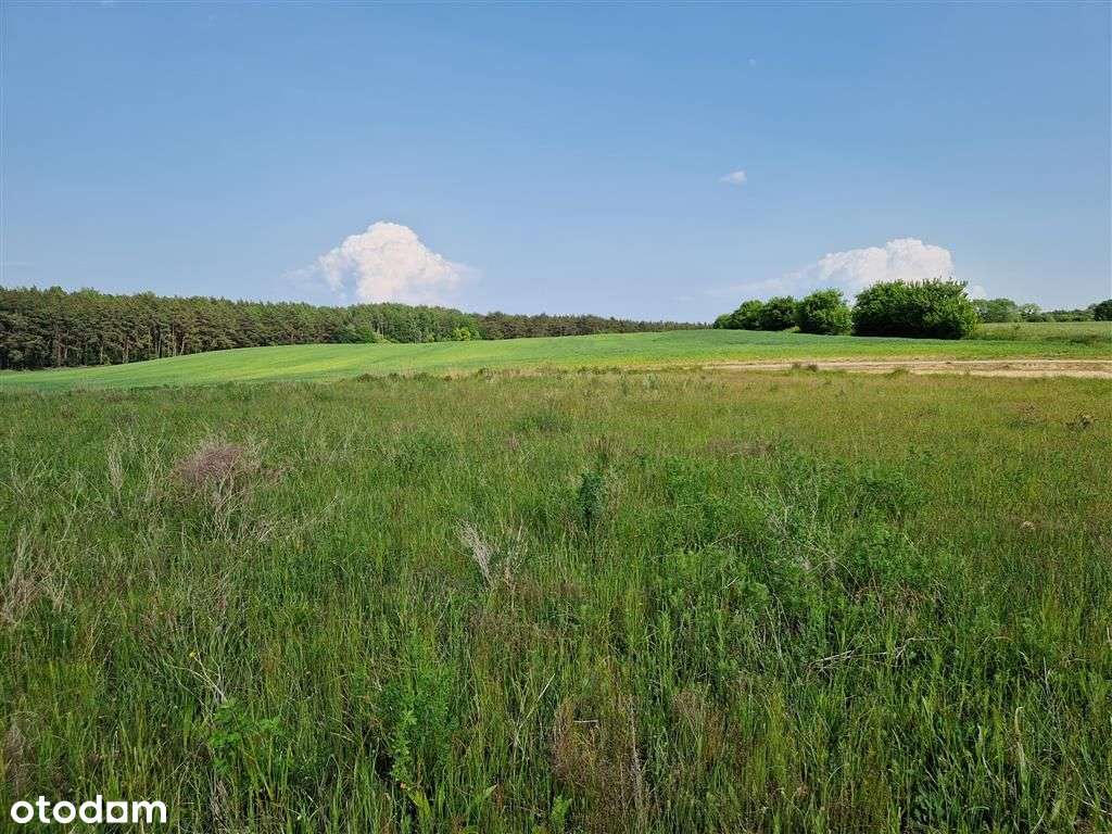 Mieszkania | Restauracja | Przychodnia | Sklep-4