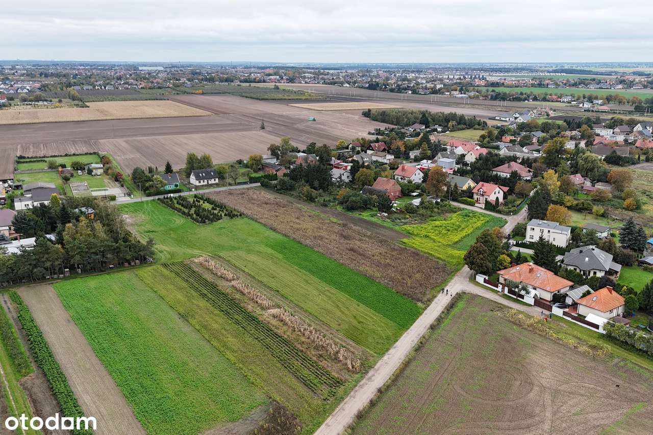 3 duże działki na sprzedaż w Krzyszkowie gm. Rokietnica - Pełny obrazek: 4/11