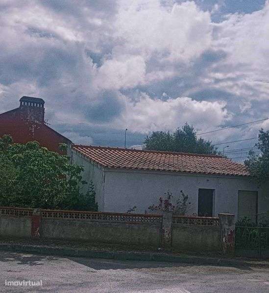 Casa tradicional com terreno com diversas árvores de fruto em S - Grande imagem: 2/9