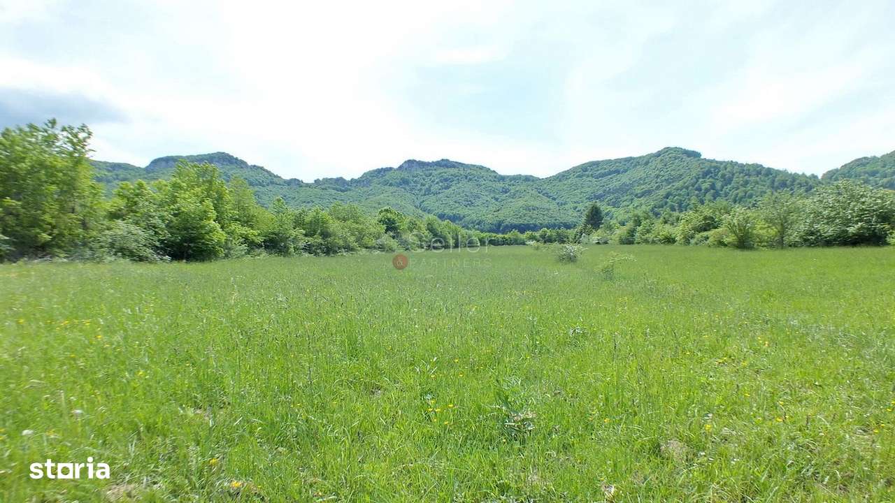 Teren Intravilan - Pretabil Investitie - Imagine principală: 5/7