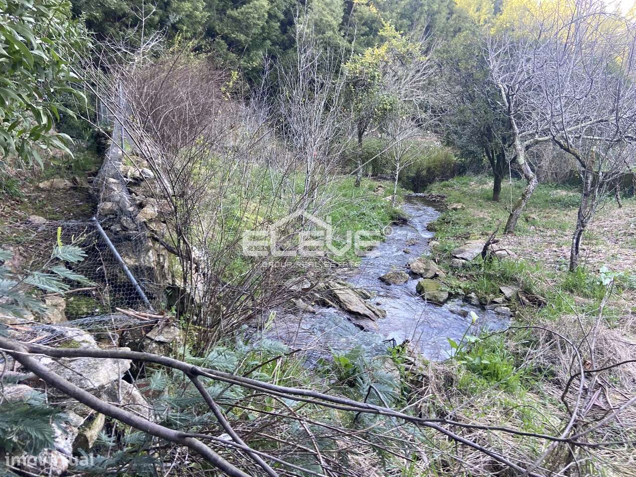 Casa de Campo em Venade-7