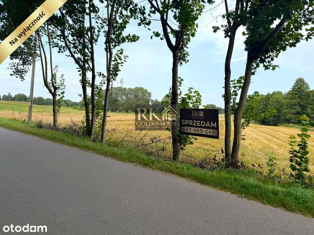 Duża działka rolna na sprzedaż z możliwością budowy domu-3